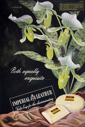 Imperial Leather Vintage Bar Soap Poster Imperial Leather Vintage Bar Soap Poster